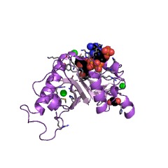 Example Structure of alpha-tubulin N-acetyltransferase EC#: 2.3.1.108