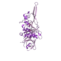 Example Structure of arginine N-succinyltransferase EC#: 2.3.1.109
