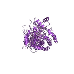 Example Structure of mycocerosate synthase EC#: 2.3.1.111