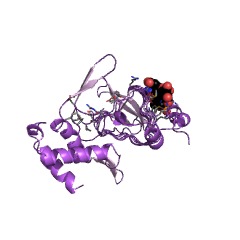 Example Structure of 2,3,4,5-tetrahydropyridine-2,6-dicarboxylate N-succinyltransferase EC#: 2.3.1.117