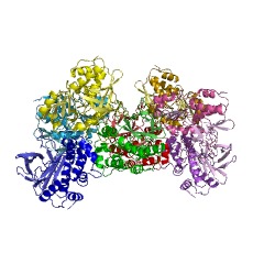 Example Structure of N-hydroxyarylamine O-acetyltransferase EC#: 2.3.1.118