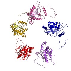 Example Structure of dihydrolipoyllysine-residue acetyltransferase EC#: 2.3.1.12