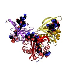 Example Structure of ribosomal-protein-alanine N-acetyltransferase EC#: 2.3.1.128