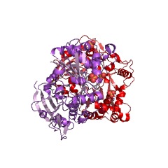 Example Structure of shikimate O-hydroxycinnamoyltransferase EC#: 2.3.1.133