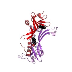 Example Structure of phosphatidylcholine-retinol O-acyltransferase EC#: 2.3.1.135
