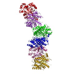Example Structure of pinosylvin synthase EC#: 2.3.1.146