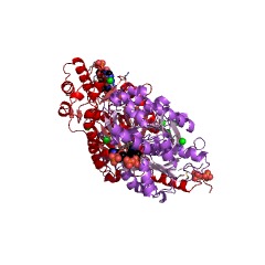 Example Structure of acridone synthase EC#: 2.3.1.159