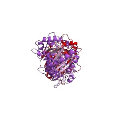 Example Structure of vinorine synthase EC#: 2.3.1.160