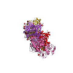 Example Structure of CO-methylating acetyl-CoA synthase EC#: 2.3.1.169