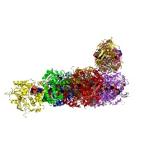 Example Structure of deacetylcephalosporin-C acetyltransferase EC#: 2.3.1.175
