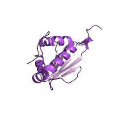 Example Structure of propanoyl-CoA C-acyltransferase EC#: 2.3.1.176
