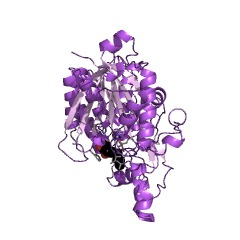 Example Structure of beta-ketoacyl-[acyl-carrier-protein] synthase II EC#: 2.3.1.179