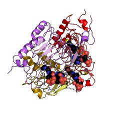 Example Structure of galactoside O-acetyltransferase EC#: 2.3.1.18