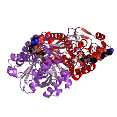 Example Structure of beta-ketoacyl-[acyl-carrier-protein] synthase III EC#: 2.3.1.180