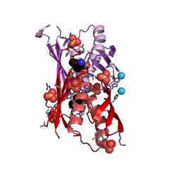 Example Structure of (R)-citramalate synthase EC#: 2.3.1.182