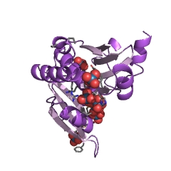 Example Structure of acyl-homoserine-lactone synthase EC#: 2.3.1.184