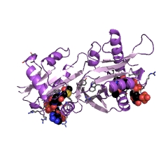 Example Structure of mycothiol synthase EC#: 2.3.1.189