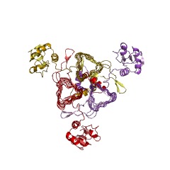 Example Structure of UDP-3-O-(3-hydroxymyristoyl)glucosamine N-acyltransferase EC#: 2.3.1.191