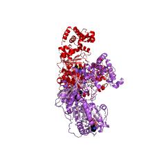Example Structure of tRNAMet cytidine acetyltransferase EC#: 2.3.1.193