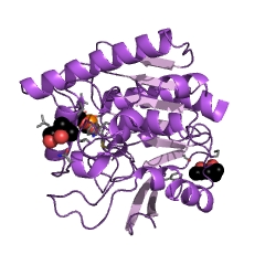 Example Structure of diacylglycerol O-acyltransferase EC#: 2.3.1.20