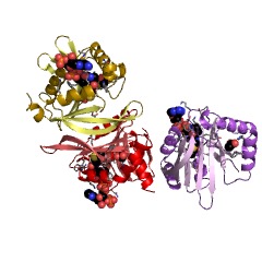 Example Structure of UDP-4-amino-4,6-dideoxy-N-acetyl-beta-L-altrosamine N-acetyltransferase EC#: 2.3.1.202