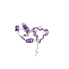 Example Structure of UDP-N-acetylbacillosamine N-acetyltransferase EC#: 2.3.1.203