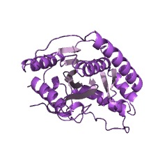 Example Structure of octanoyl-[GcvH]:protein N-octanoyltransferase EC#: 2.3.1.204