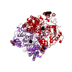 Example Structure of carnitine O-palmitoyltransferase EC#: 2.3.1.21