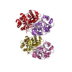 Example Structure of bisdemethoxycurcumin synthase EC#: 2.3.1.211
