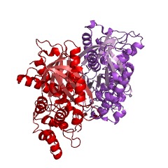 Example Structure of benzalacetone synthase EC#: 2.3.1.212