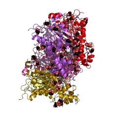 Example Structure of curcumin synthase EC#: 2.3.1.217