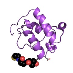 Example Structure of noranthrone synthase EC#: 2.3.1.221