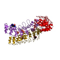 Example Structure of protein S-acyltransferase EC#: 2.3.1.225