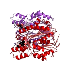Example Structure of 1,3,6,8-tetrahydroxynaphthalene synthase EC#: 2.3.1.233