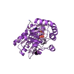 Example Structure of N6-L-threonylcarbamoyladenine synthase EC#: 2.3.1.234