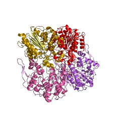Example Structure of monacolin J acid methylbutanoate transferase EC#: 2.3.1.238