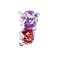 Example Structure of 10-deoxymethynolide synthase EC#: 2.3.1.239