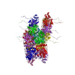 Example Structure of 3-hydroxy-5-phosphonooxypentane-2,4-dione thiolase EC#: 2.3.1.245