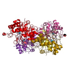 Example Structure of 3-keto-5-aminohexanoate cleavage enzyme EC#: 2.3.1.247
