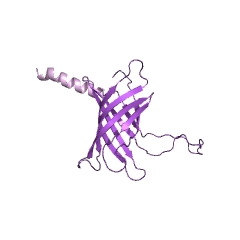 Example Structure of lipid IVA palmitoyltransferase EC#: 2.3.1.251
