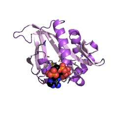 Example Structure of N-terminal amino-acid Nalpha-acetyltransferase NatA EC#: 2.3.1.255