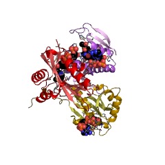 Example Structure of N-terminal methionine Nalpha-acetyltransferase NatE EC#: 2.3.1.258