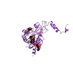 Example Structure of N-terminal methionine Nalpha-acetyltransferase NatF EC#: 2.3.1.259