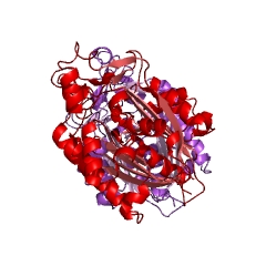 Example Structure of anthraniloyl-CoA anthraniloyltransferase EC#: 2.3.1.262