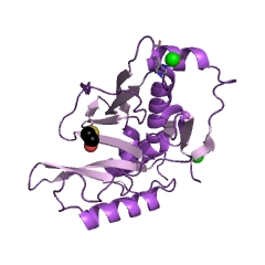 Example Structure of chloramphenicol O-acetyltransferase EC#: 2.3.1.28