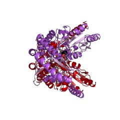 Example Structure of glycine C-acetyltransferase EC#: 2.3.1.29