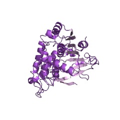 Example Structure of homoserine O-acetyltransferase EC#: 2.3.1.31