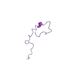 Example Structure of 5-aminolevulinate synthase EC#: 2.3.1.37