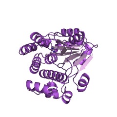 Example Structure of [acyl-carrier-protein] S-malonyltransferase EC#: 2.3.1.39
