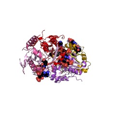 Example Structure of glucosamine-phosphate N-acetyltransferase EC#: 2.3.1.4